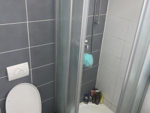 Pronájem bytu 2+1, Brno - Veveří, Údolní, 62 m2