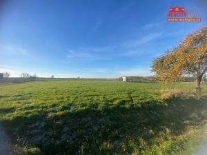 Prodej louky, Nahořany, 1000 m2