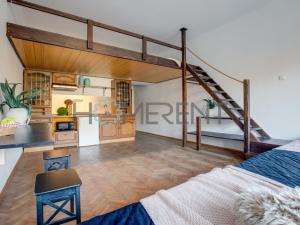 Pronájem bytu 1+kk, Praha - Nusle, Sekaninova, 35 m2