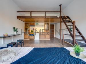 Pronájem bytu 1+kk, Praha - Nusle, Sekaninova, 35 m2