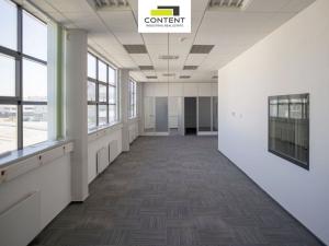Pronájem výrobních prostor, Aš, Skandinávská, 10000 m2