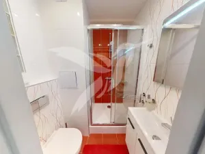 Pronájem bytu 1+1, Dýšina, K Chlumu, 35 m2