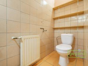 Prodej atypického bytu, Karlovy Vary, Rohová, 120 m2