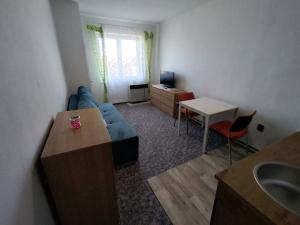 Pronájem bytu 1+kk, Pardubice, Sezemická, 28 m2