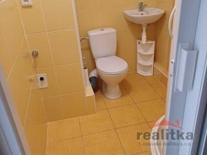 Pronájem bytu 1+kk, Opava, Antonína Sovy, 22 m2