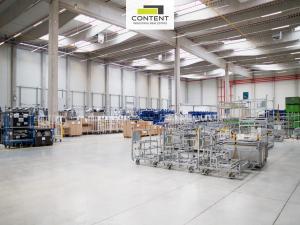 Pronájem skladu, Hrušky, Polní, 12208 m2