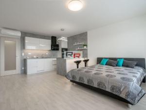 Pronájem bytu 1+kk, Olomouc - Povel, Slavonínská, 41 m2