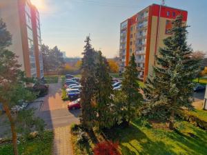 Pronájem bytu 1+1, Bohušovice nad Ohří, Zahradní, 35 m2