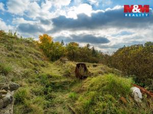 Prodej chalupy, Krupka, Cínová, 130 m2