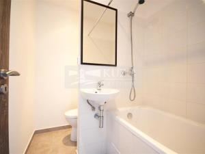 Prodej bytu 1+kk, Chomutov, Seifertova, 20 m2