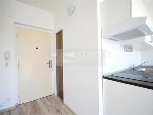 Prodej bytu 1+kk, Chomutov, Seifertova, 20 m2