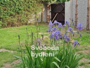 Pronájem rodinného domu, Křečovice - Vlkonice, 66 m2