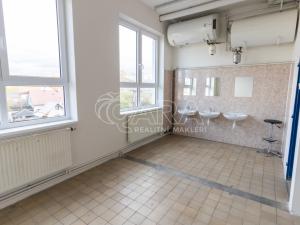 Pronájem skladu, Frenštát pod Radhoštěm, Martinská čtvrť, 484 m2