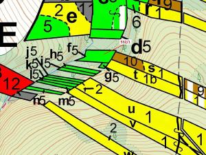 Dražba lesa, Havlíčkův Brod, 870 m2