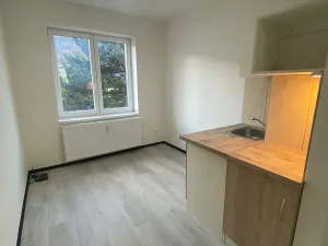 Pronájem bytu 1+kk, Praha - Hlubočepy, Na Zlíchově, 14 m2