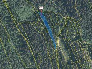 Dražba lesa, Lačnov, 2442 m2