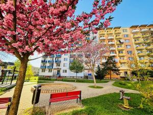 Prodej bytu 2+1, Břeclav, Slovácká, 51 m2