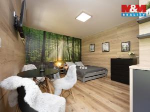 Prodej bytu 1+kk, Vrbno pod Pradědem, Žižkova, 31 m2