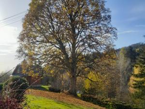 Prodej chaty, Malá Morava - Sklené, 35 m2