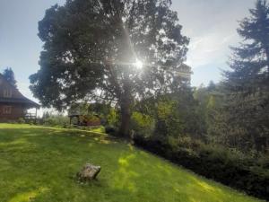 Prodej chaty, Malá Morava - Sklené, 35 m2