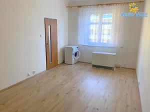 Pronájem bytu 1+kk, Praha - Nusle, Na Veselí, 29 m2