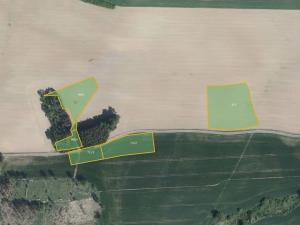 Prodej pole, Hořice, 66972 m2