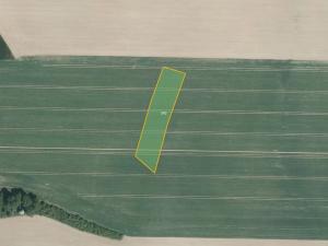 Prodej pole, Hořice, 66972 m2