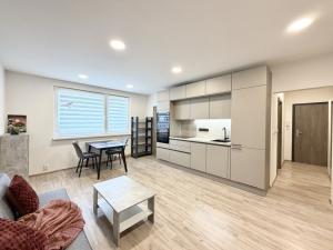 Pronájem bytu 2+kk, Liberec - Liberec XII-Staré Pavlovice, Letná, 41 m2