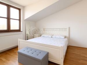 Pronájem bytu 2+kk, Praha - Dejvice, Paťanka, 64 m2