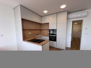 Pronájem bytu 4+kk, Brno - Trnitá, Placzkova, 158 m2