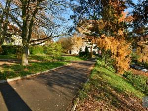 Pronájem bytu 4+1, Ústí nad Labem, SNP, 82 m2