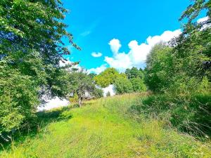 Prodej zemědělské usedlosti, Bratřejov, 200 m2