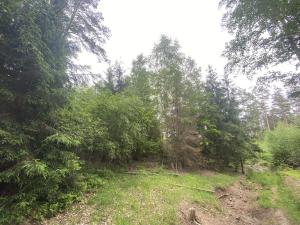 Prodej lesa, Blížejov - Lštění, 4152 m2