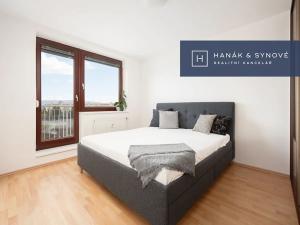 Pronájem bytu 1+kk, Brno, třída Generála Píky, 97 m2