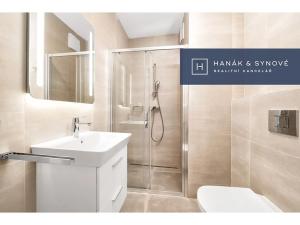 Pronájem bytu 1+kk, Brno, Chaloupkova, 30 m2