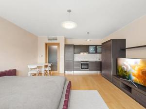 Pronájem bytu 1+kk, Praha - Žižkov, Ke kapslovně, 51 m2