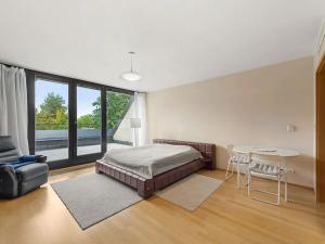 Pronájem bytu 1+kk, Praha - Žižkov, Ke kapslovně, 51 m2