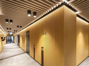 Pronájem kanceláře, Praha - Žižkov, Vinohradská, 387 m2