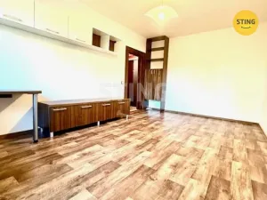 Pronájem bytu 1+1, Hodonín, Družstevní čtvrť, 37 m2