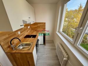 Prodej bytu 1+1, Ústí nad Labem - Severní Terasa, Šrámkova, 34 m2