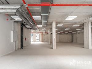 Pronájem kanceláře, Praha - Karlín, Thámova, 293 m2