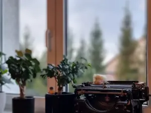 Prodej bytu 2+1, Bohdalice-Pavlovice, 62 m2