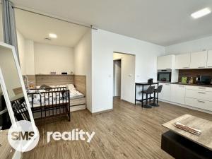 Pronájem bytu 1+kk, Opava - Předměstí, Provaznická, 39 m2