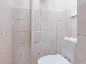 Pronájem bytu 2+1, Praha - Nusle, V podluží, 72 m2