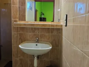 Prodej ubytování, Ostrava, Šamanova, 173 m2