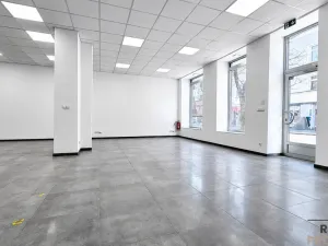 Pronájem obchodního prostoru, Hodonín, Národní třída, 119 m2