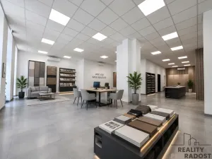 Pronájem obchodního prostoru, Hodonín, Národní třída, 119 m2