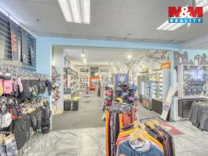 Pronájem obchodního prostoru, Plzeň - Vnitřní Město, Zbrojnická, 456 m2