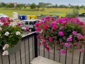 Prodej bytu 2+kk, Brno, Jánošíkova, 49 m2