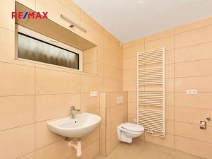 Pronájem rodinného domu, Zruč-Senec, U pomníku, 130 m2